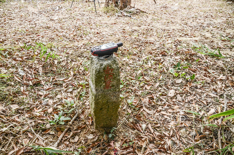 埔心庄冠字藤(20)土地調查局圖根點(Elev. 183 m蔗 (1)