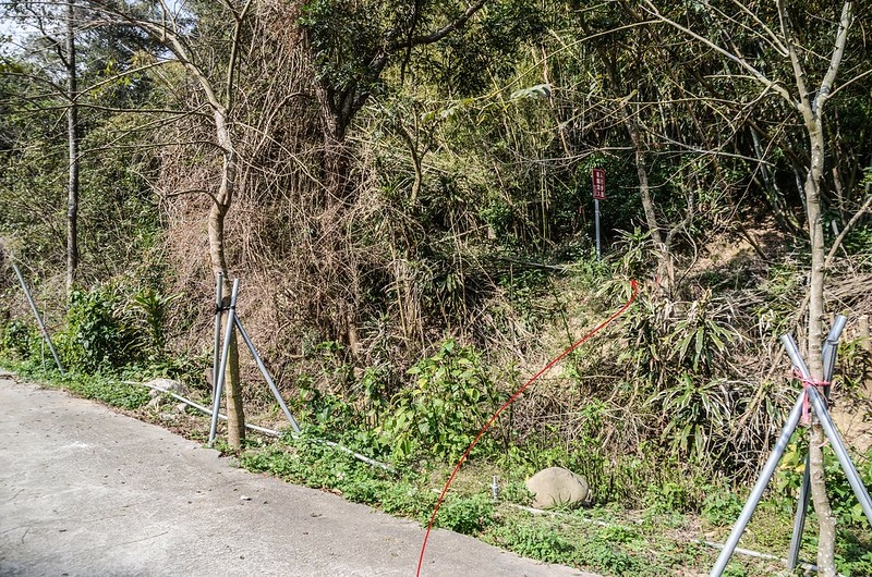 大坪窩山車道右切登山小水泥路