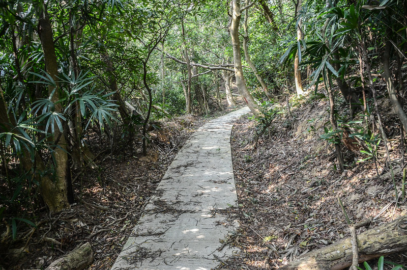 大坪窩山登山小水泥路