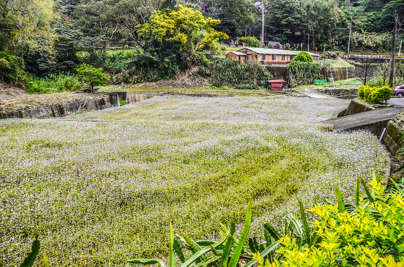 北打鐵坑山沿途山景