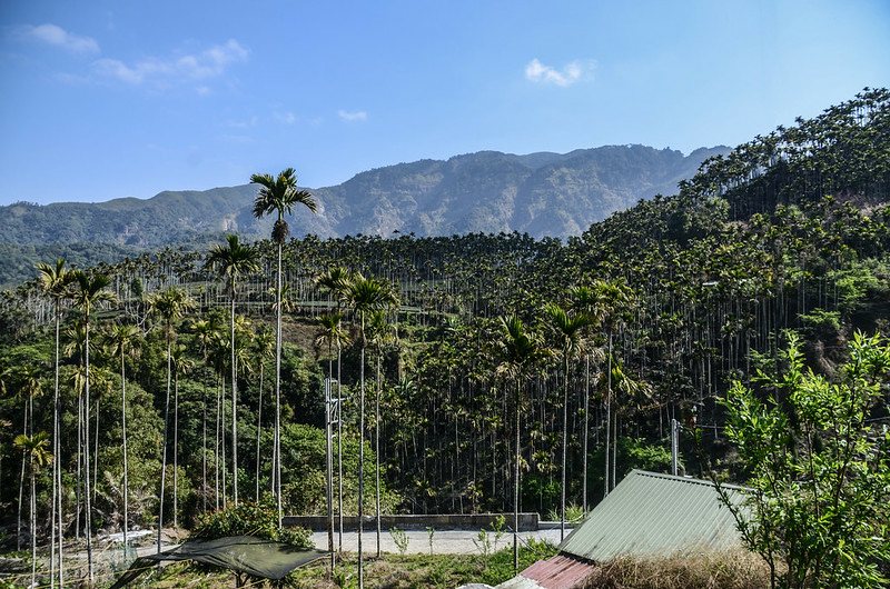 掘沓山停車處東北方山景