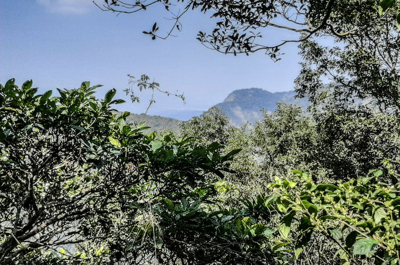 掘沓山山頂西北望外湖山