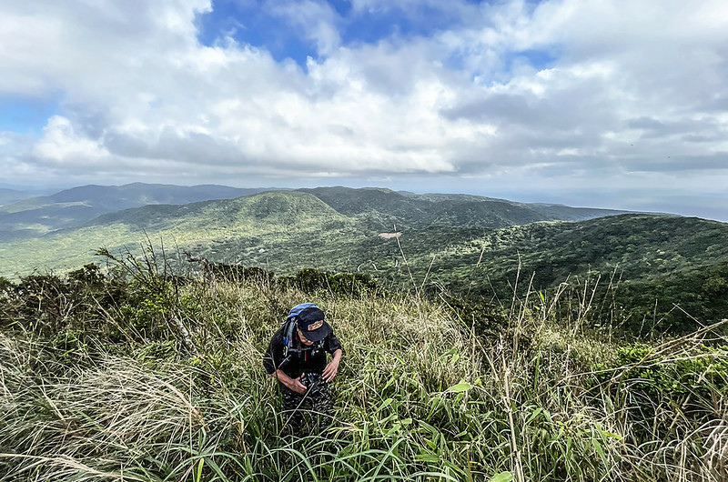登郊山(1500公尺以下)紀錄(十八) 豬老束山山頂北方展望 (4)