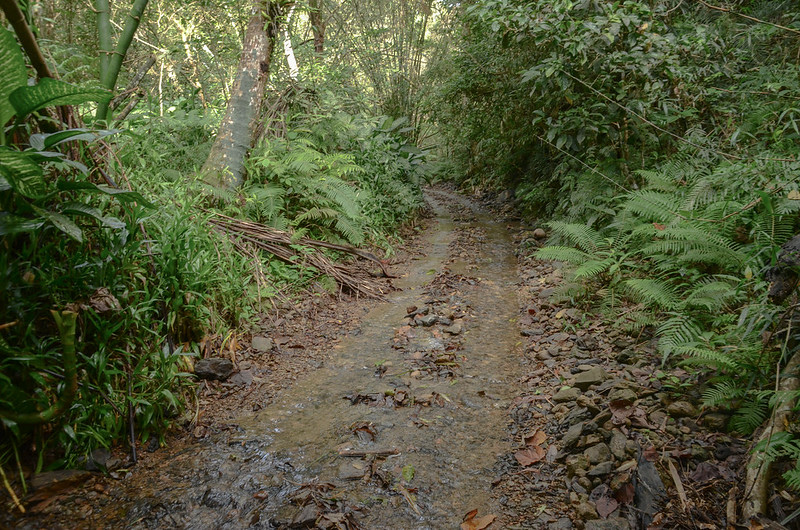 溪水氾濫的內文北山產道