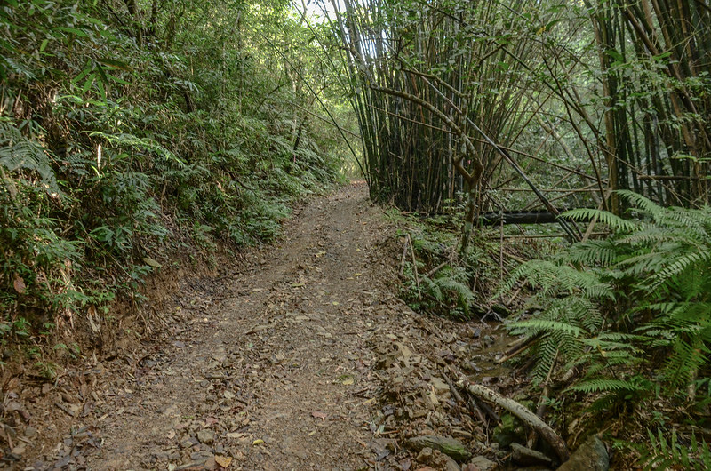 內文北山產道