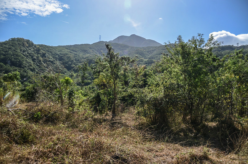 北丹路山南望北里龍山