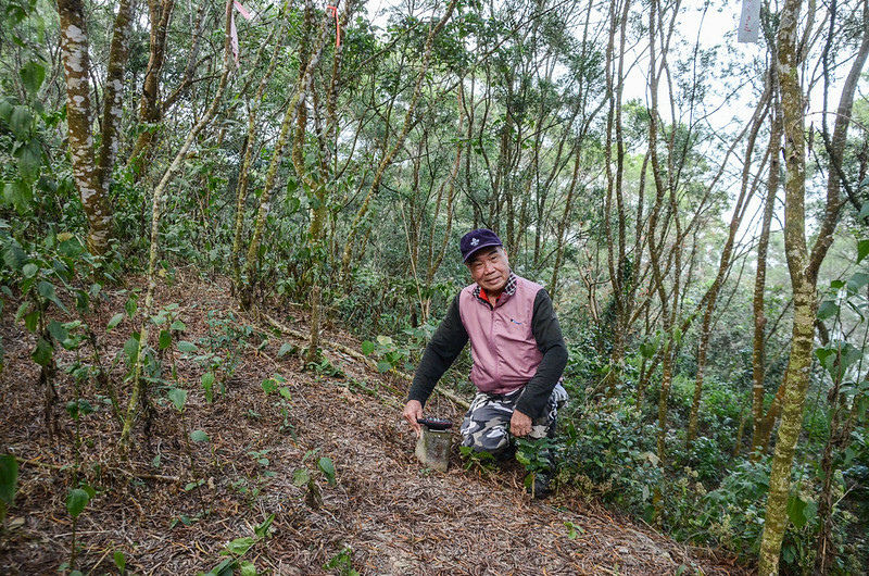 瑪家村台灣省政府圖根補點