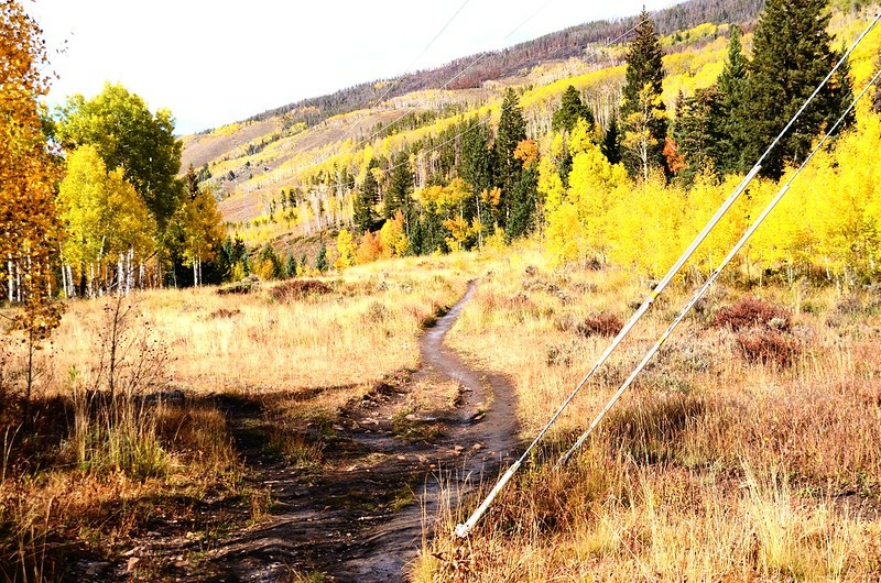 Ridge trail & Slope trail junction