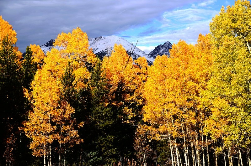 Fall foliage hike at Ptarmigan Peak Trail, Colorado (5)
