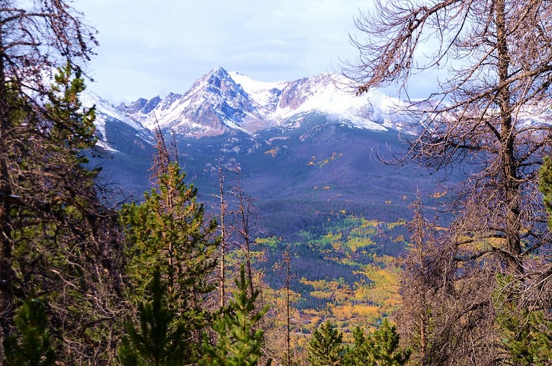 Looking west at East Thorn from Ptarmigan Peak Trail (2)