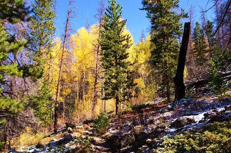 Fall foliage hike at Ptarmigan Peak Trail, Colorado (6)