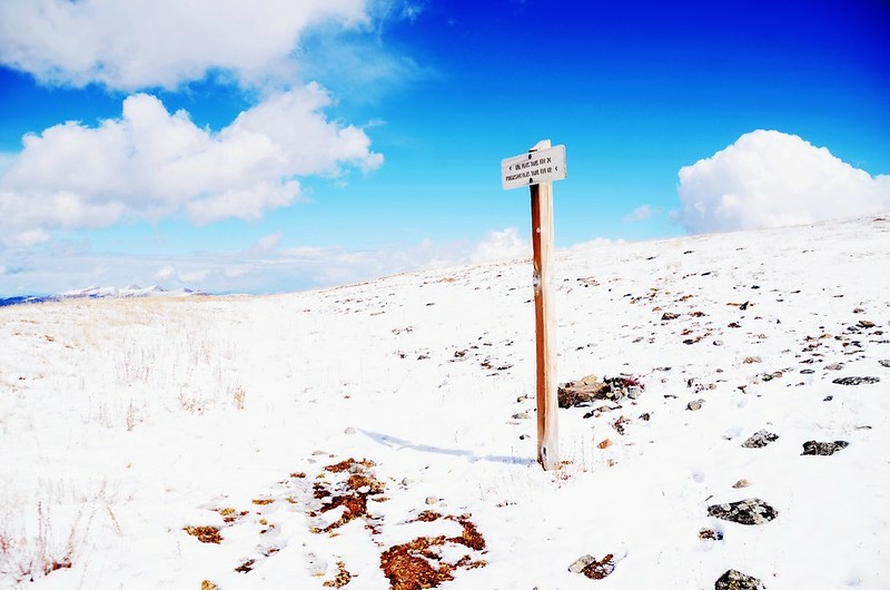 Ute Peak Trail - Ptarmigan Trail split