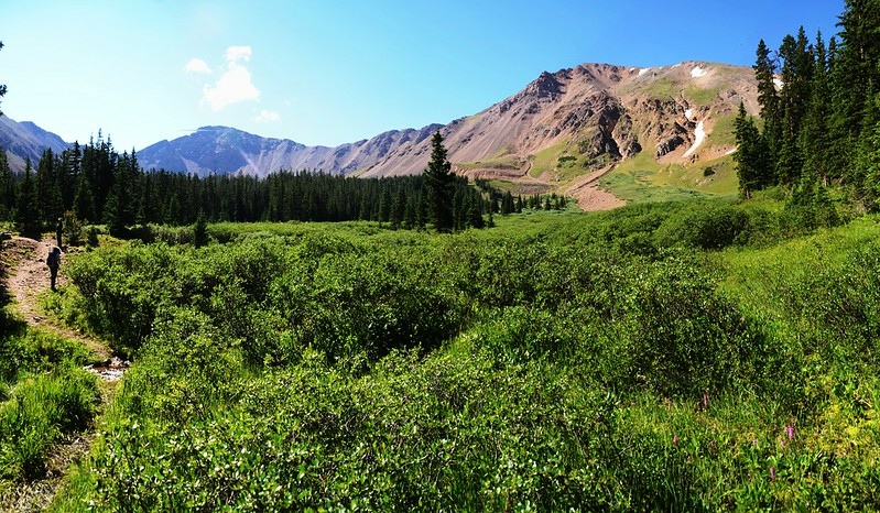 Looking southeast at Mount Parnassus~Bard Peak ridge from Ruby Creek Basin (2)