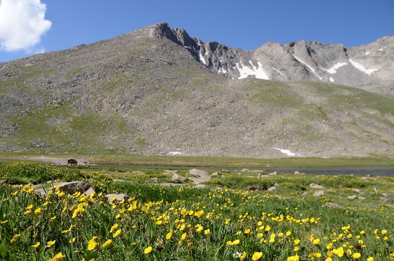 Summit Lake (3,911 m) (12)