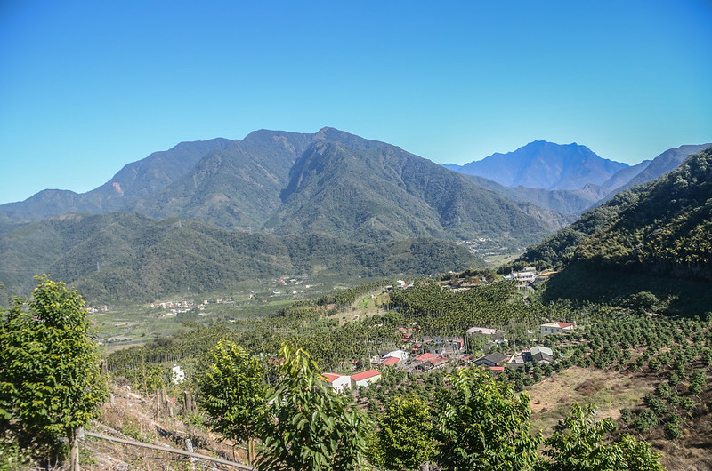 足鉾安產道(H 606 m)東北望水社大山、干卓萬卓社大山