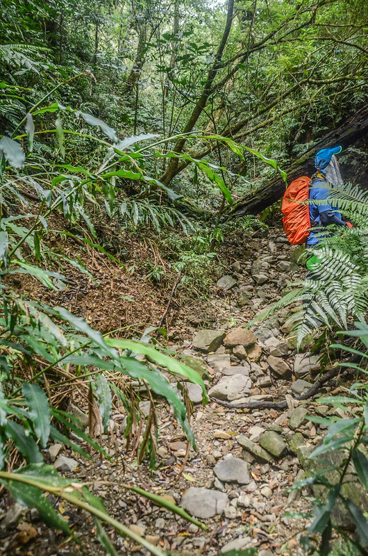 杜鴉原東稜溪溝岩壁水源