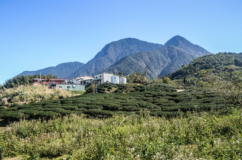 南雙龍山頂東南望治茆群峰