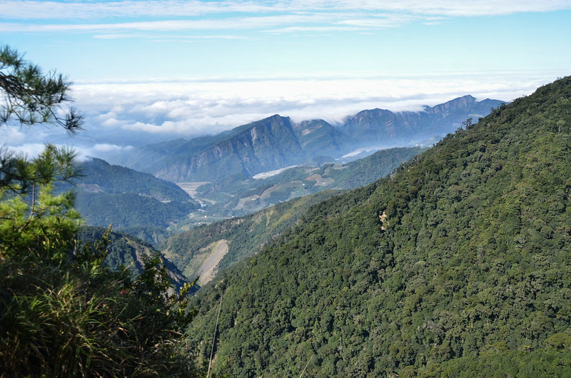 船型山林道4.0K西北俯瞰馬克連稜 8