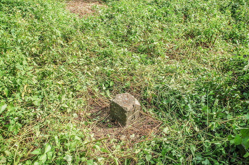 尾庄西總督府土木局水準點(# 荖濃溪左岸7-0 Elev. 250 m) (2)