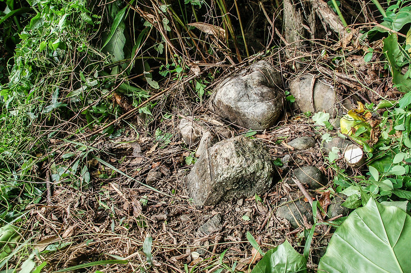 尾庄南總督府土木局水準點(# 荖濃溪左岸6-30 Elev. 255 m) (2)