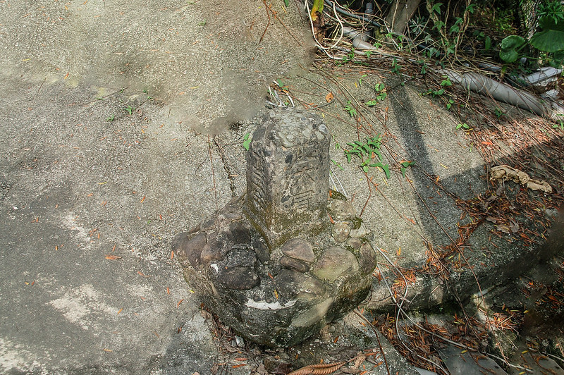 鈴黃山西露營區總督府土木局水準點(# 荖濃溪左岸6-20 Elev. 248 m) (2)