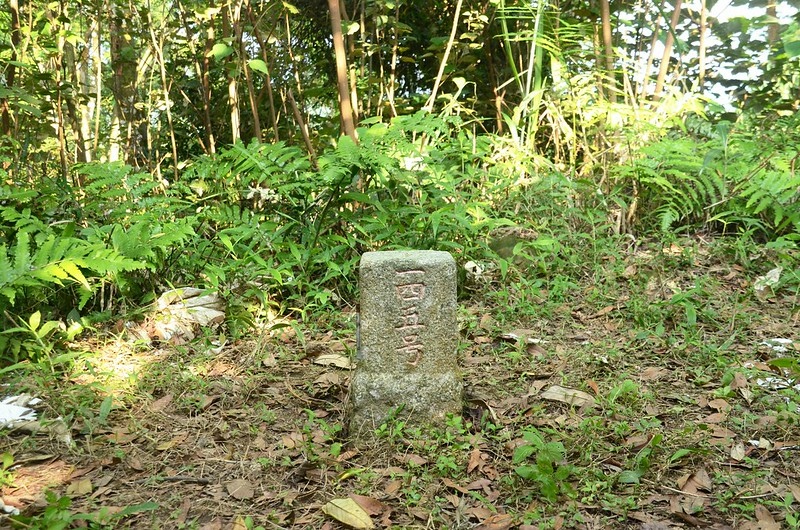 沖庫山三等三角點(# 145 Elev. 612 m)