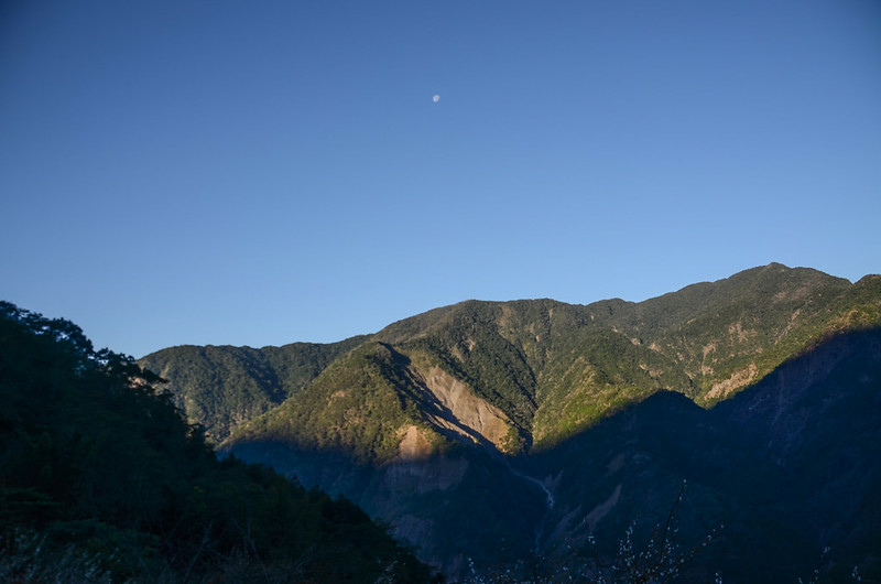 鐵本山產道西眺群山(H 1187m) (6)