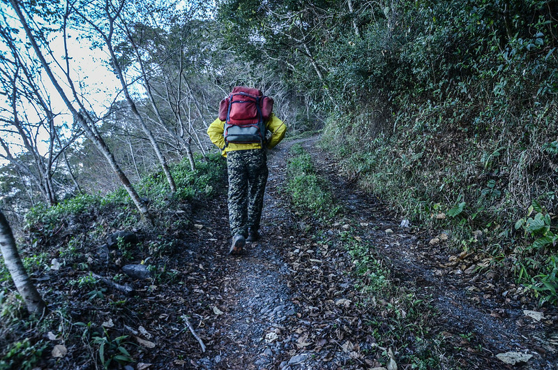 鐵本山產業道路 (1)