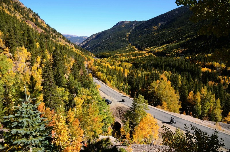 Fall Foliage in Guanella Pass, Colorado