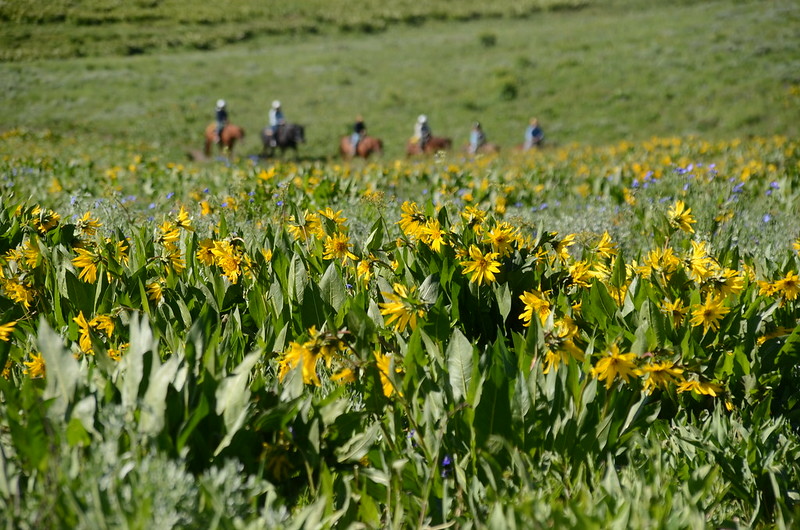 Teddy's Trail, Crested Butte (46)