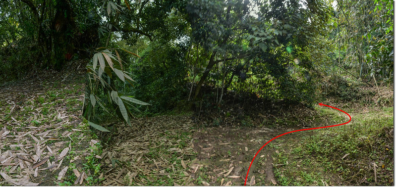 托亞奇伊山岔路