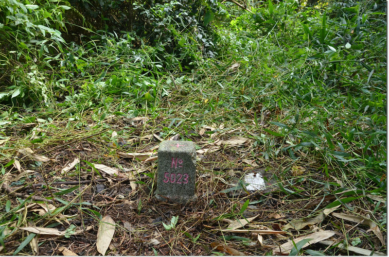 頂河表湖山三等三角點(# 5023 Elev. 744 m)
