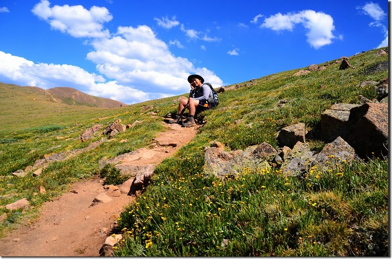 Wildflowers blooming along the trail (9)