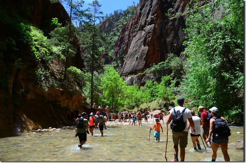 The Narrows, Zion National Park (67)