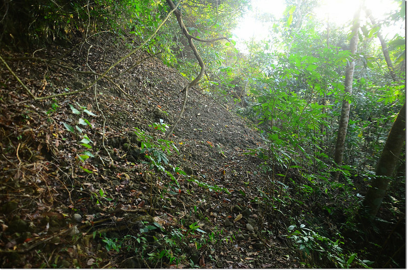 芒果坑山產道小坍方處