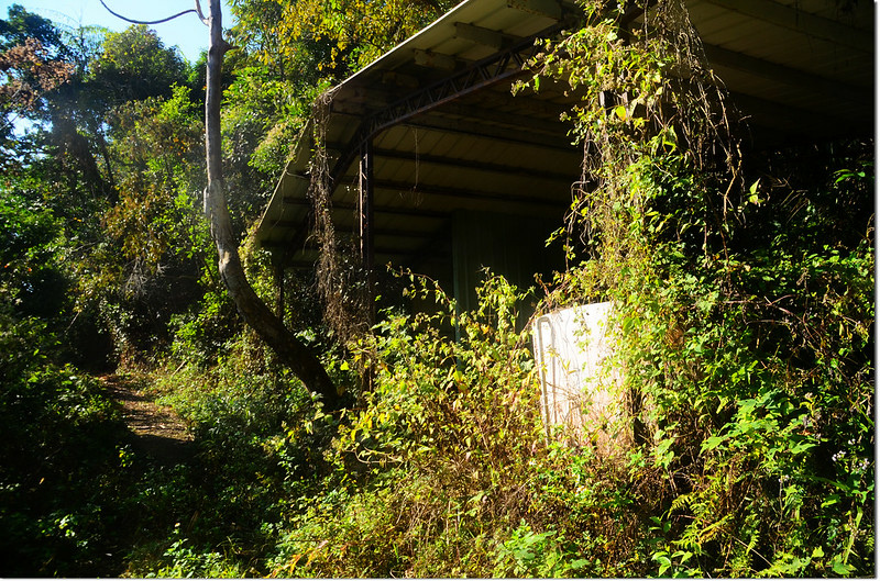 頂石峽山工寮登山口 2