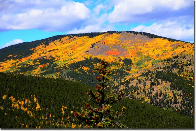 Fall colors, Mount Evans Scenic Byway, Colorado (42)