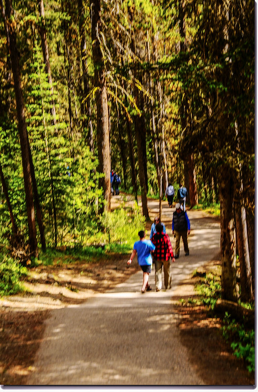 Johnston Canyon Trail (2)