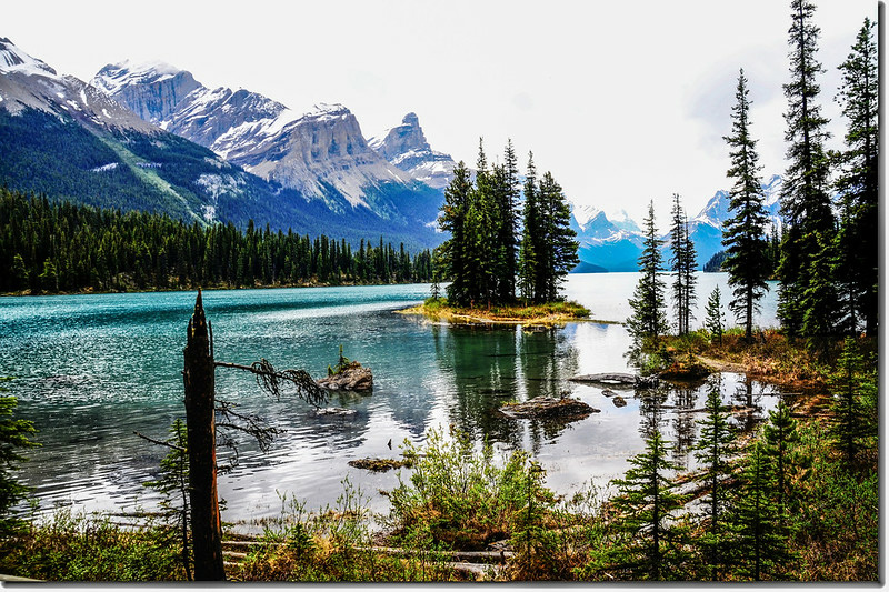 Spirit Island on Maligne Lake 1