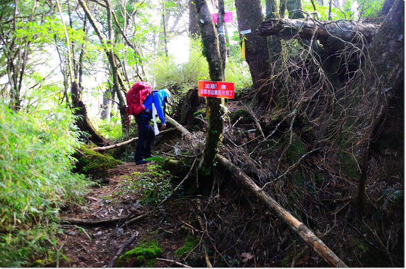 基那吉山稜線岔路