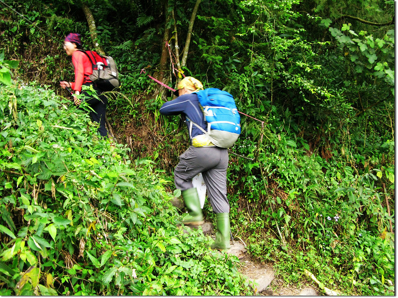 北大武山新登山口