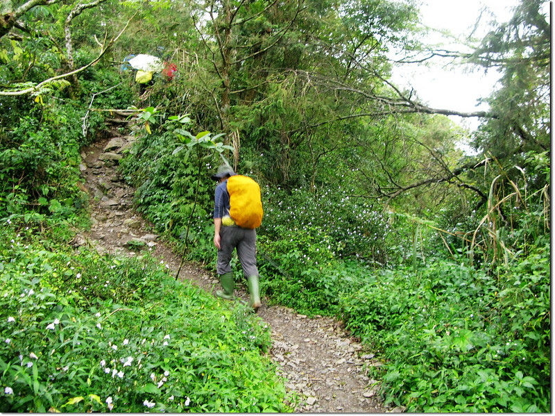 北大武山新登山口高繞段 1