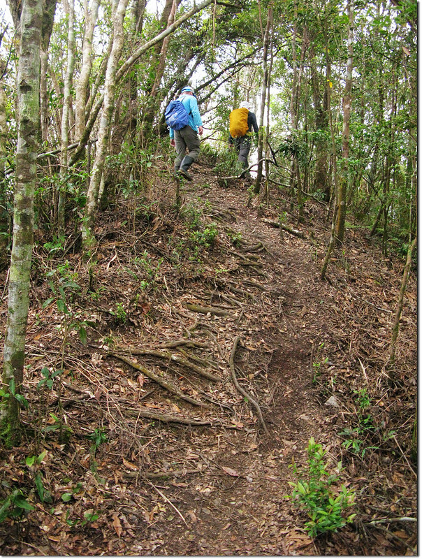 日湯真山稜頂路段 1