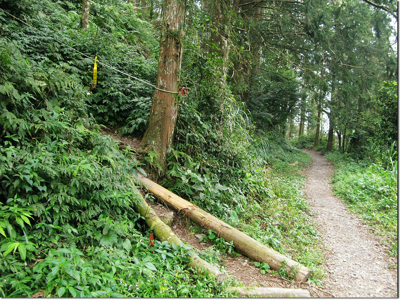 日湯真山舊登山口