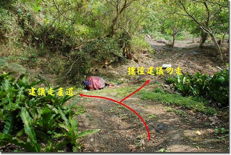 產業道路彎道捷徑岔路 1