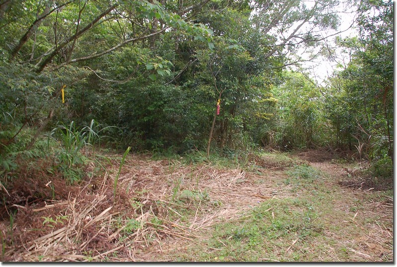 耆路知可山登山步道 2