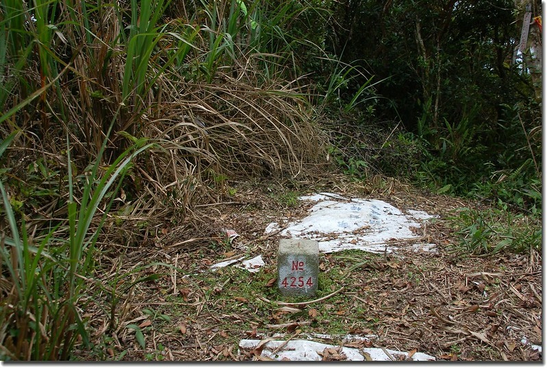 耆路知可山三等三角點(# 4254 Elev. 916 m)