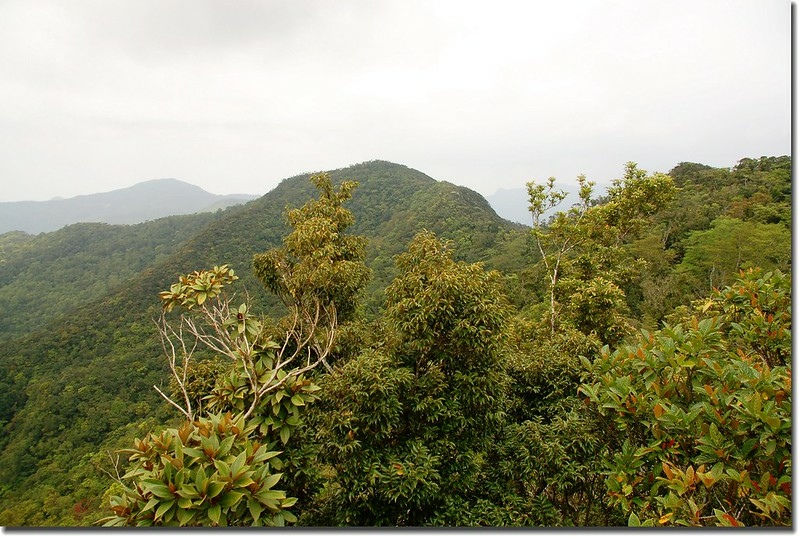 耆路知可山山頂展望 5