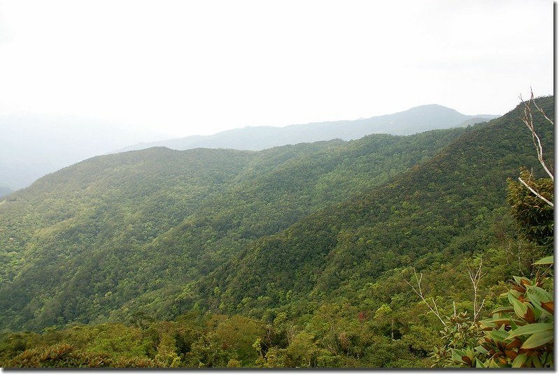 耆路知可山山頂展望 7