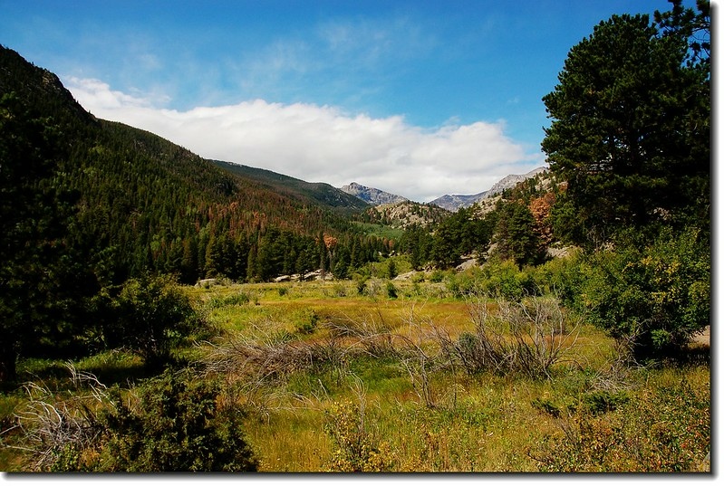 Cub Lake Trail 2